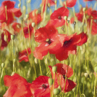 Buy canvas prints of The Poppies by Colin Evans