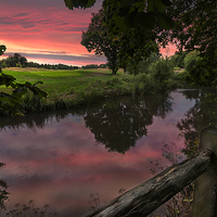 Buy canvas prints of Sunset over the River Mole in Surrey  by Colin Evans