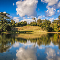 Buy canvas prints of  The Esher Lake by Colin Evans