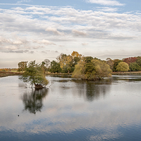 Buy canvas prints of  Autumn in Richmond Park London by Colin Evans