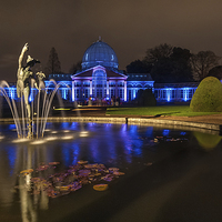 Buy canvas prints of  Syon Park in London by Colin Evans
