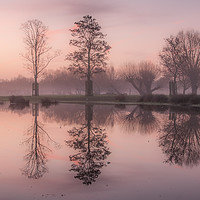 Buy canvas prints of Morning Light in Richmond Park London by Colin Evans