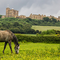 Buy canvas prints of Bolsover Castle And The Horse  by Michael South Photography