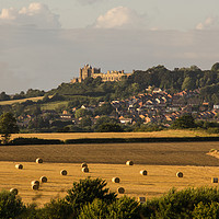 Buy canvas prints of Bolsover Castle and the bales.  by Michael South Photography