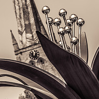 Buy canvas prints of The Crooked Spire and the Pomegranate Flower by Michael South Photography