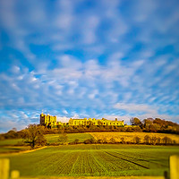 Buy canvas prints of Bolsover Castle by Michael South Photography