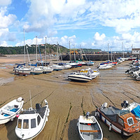 Buy canvas prints of Tenby Harbour Panoramic.  by Michael South Photography