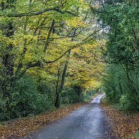 Buy canvas prints of  Autumn highway by Gary Schulze