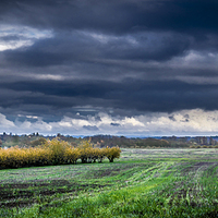 Buy canvas prints of  Stormy day by Gary Schulze