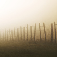 Buy canvas prints of Misty fence by Gary Schulze