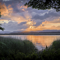 Buy canvas prints of  Tay Sunset by Andy Clark