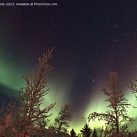 Buy canvas prints of Aurora Borealis & Stars by Dave Eyres