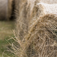 Buy canvas prints of  Hay bales by Claire Castelli