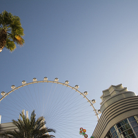 Buy canvas prints of  The High Roller by Claire Castelli
