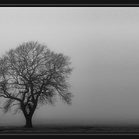 Buy canvas prints of The lone tree by Claire Castelli