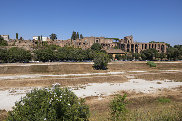 Circus Maximus Palatine Hill Ruins in Rome Picture Board by Artur Bogacki