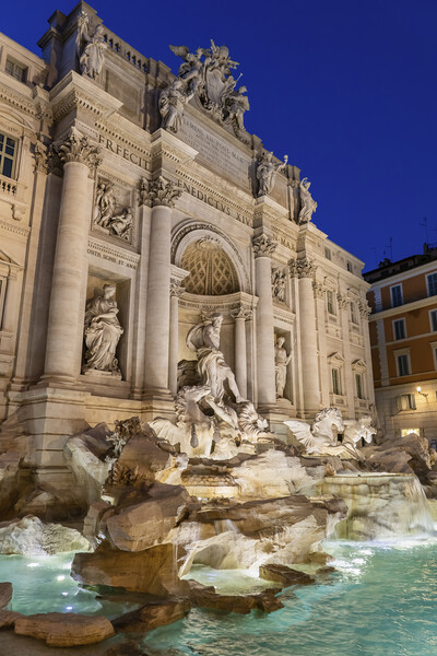 Trevi Fountain At Night In Rome Picture Board by Artur Bogacki