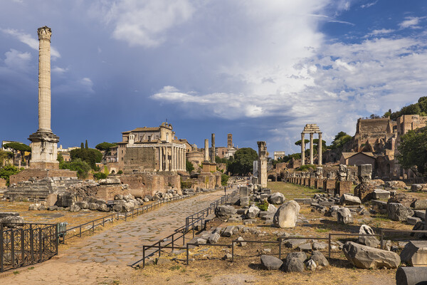 Roman Forum Ruins In Rome Picture Board by Artur Bogacki
