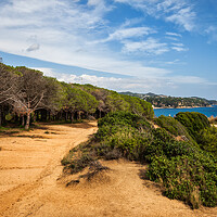 Buy canvas prints of Edge Of The Forest Path On Costa Brava by Artur Bogacki