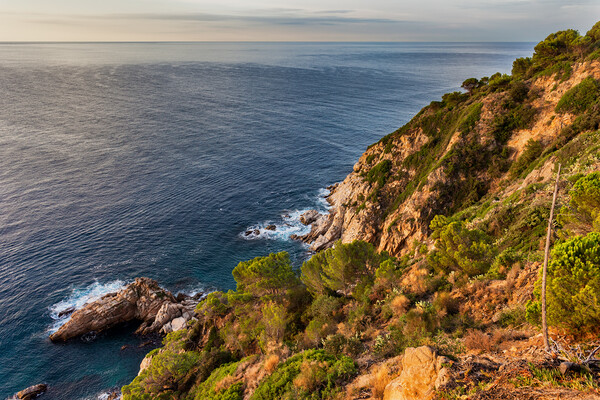 Costa Brava Sea Coast in Spain Picture Board by Artur Bogacki