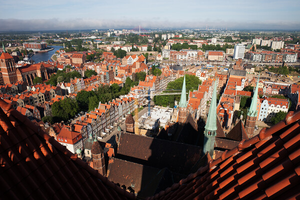 Gdansk City Cityscape From St Mary Church Picture Board by Artur Bogacki