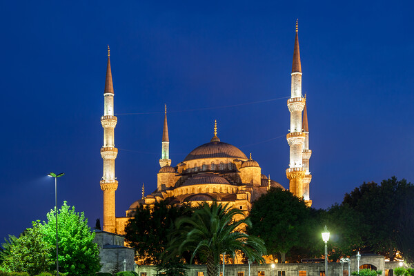 Blue Mosque at Night in Istanbul Picture Board by Artur Bogacki