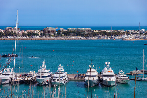 Yachts in French Riviera and Cannes City Skyline Picture Board by Artur Bogacki