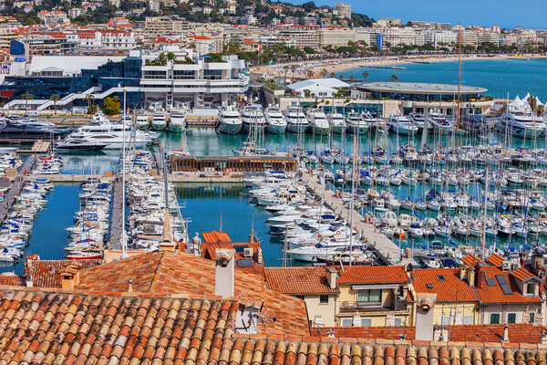 Le Vieux Port in Cannes City on French Riviera Picture Board by Artur Bogacki