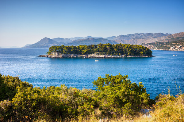 Island of Daksa on Adriatic Sea in Croatia Picture Board by Artur Bogacki