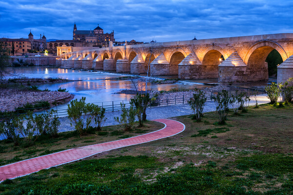 Roman Bridge on Guadalquivir River in Cordoba Picture Board by Artur Bogacki