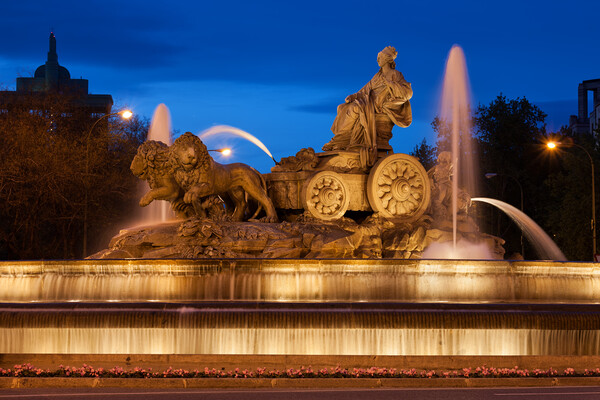 Cibeles Fountain Illuminated at Night in Madrid Picture Board by Artur Bogacki