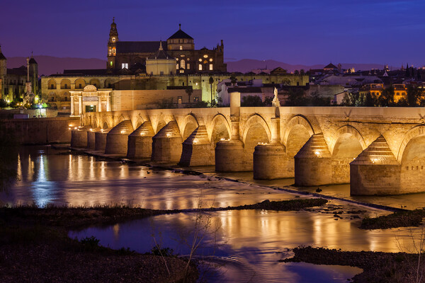 Bridge and Mosque Cathedral of Cordoba at Night Picture Board by Artur Bogacki