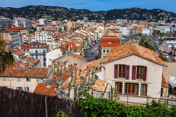 City of Cannes Cityscape in France Picture Board by Artur Bogacki