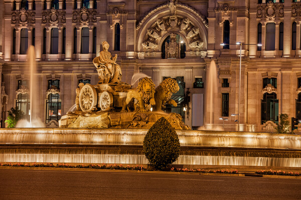 Cibeles Fountain and Cybele Palace in Madrid Picture Board by Artur Bogacki