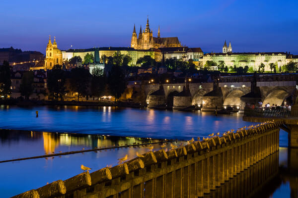City Of Prague Evening River View Picture Board by Artur Bogacki