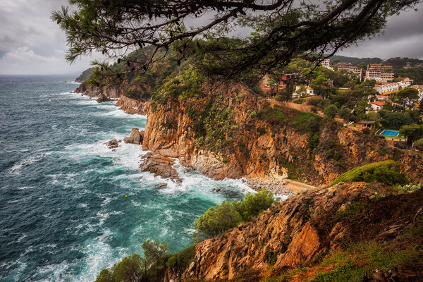 Costa Brava Landscape in Tossa de Mar, Spain Picture Board by Artur Bogacki