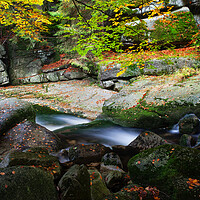 Buy canvas prints of Creek in Autumn Mountain Forest by Artur Bogacki