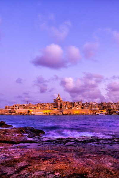 Valletta Skyline From Manoel Island At Dusk Picture Board by Artur Bogacki
