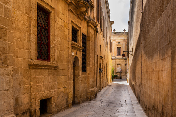 City of Mdina in Malta Picture Board by Artur Bogacki