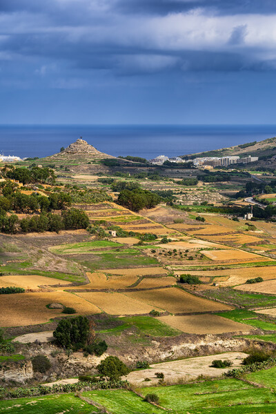 Gozo Island Landscape In Malta Picture Board by Artur Bogacki