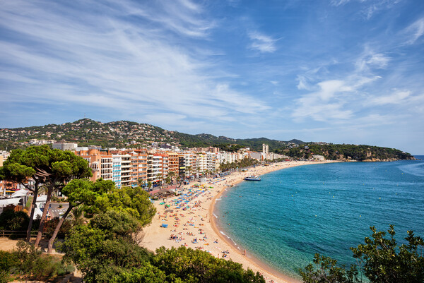 Lloret de Mar Town On Costa Brava In Spain Picture Board by Artur Bogacki