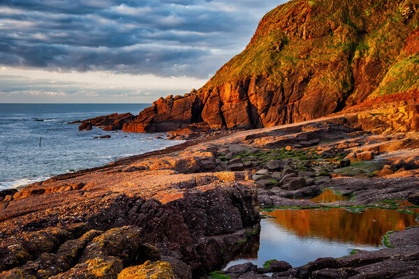 Sunrise By The Sea In South Coast Of Ireland Picture Board by Artur Bogacki