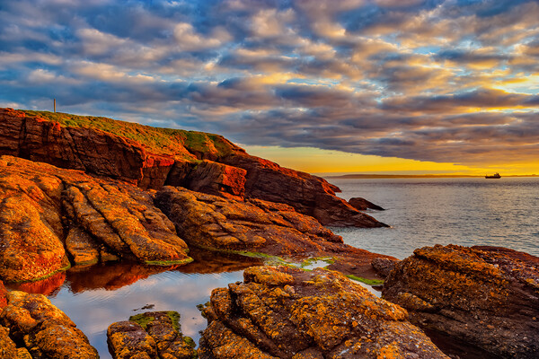 Sea Sunrise At The South Coast Of Ireland Picture Board by Artur Bogacki