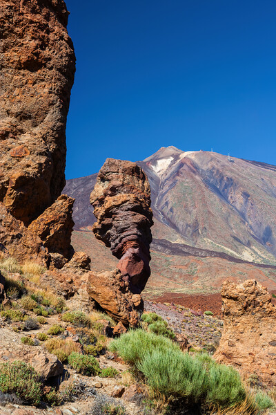 Teide National Park Landscape In Tenerife Picture Board by Artur Bogacki
