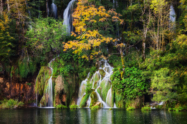 Autumn Landscape With Waterfall In Plitvice Lakes Picture Board by Artur Bogacki