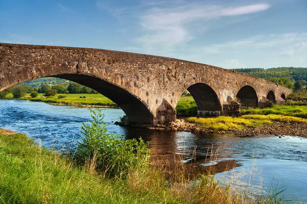 Old Arch Bridge On Suir River In Ireland Picture Board by Artur Bogacki