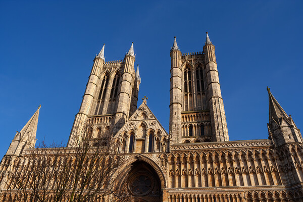 Lincoln Cathedral In England Picture Board by Artur Bogacki