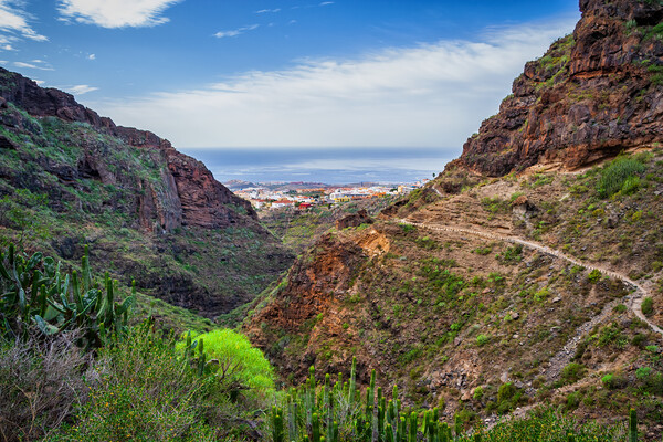 Barranco del Infierno Hell Gorge Landscape in Tenerife Picture Board by Artur Bogacki