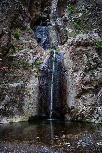 Waterfall in Barranco del Infierno Hell Gorge in Tenerife Picture Board by Artur Bogacki