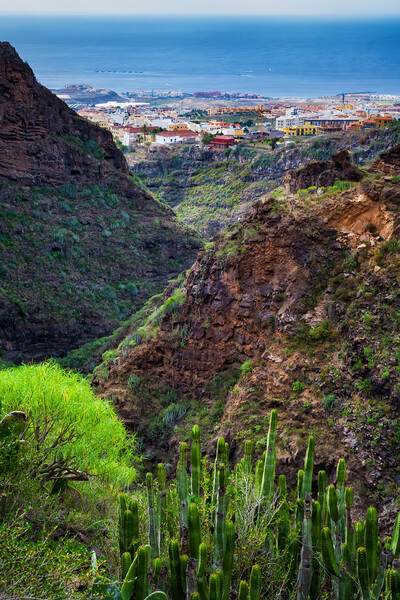 Barranco del Infierno Hell Gorge in Tenerife Picture Board by Artur Bogacki